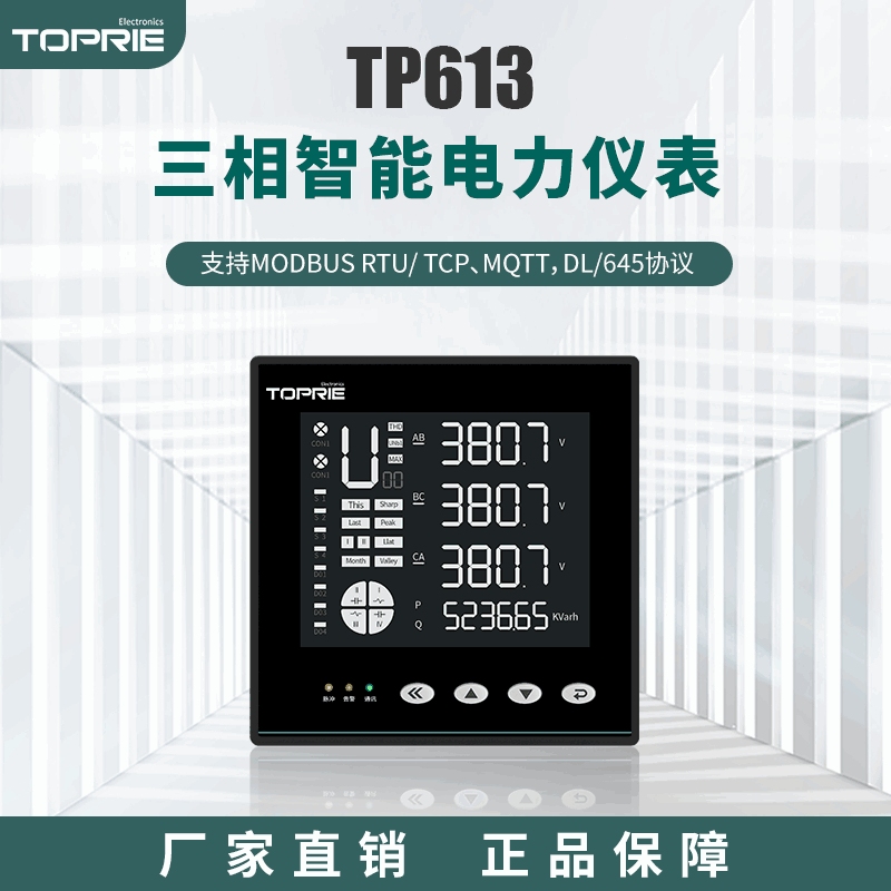 TP613 多功能諧波電能表【已下架】