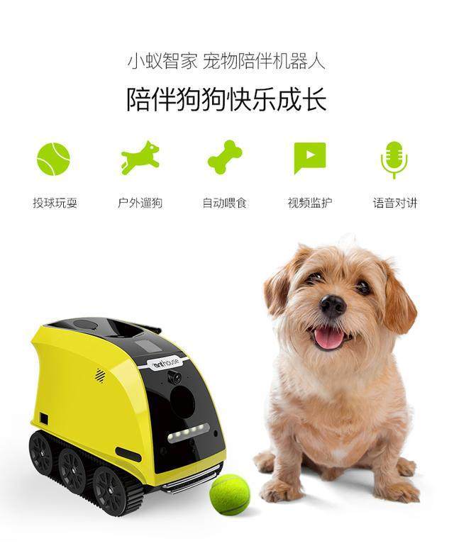 多愛狗？小蟻智家專門為它開發一款保姆機器人