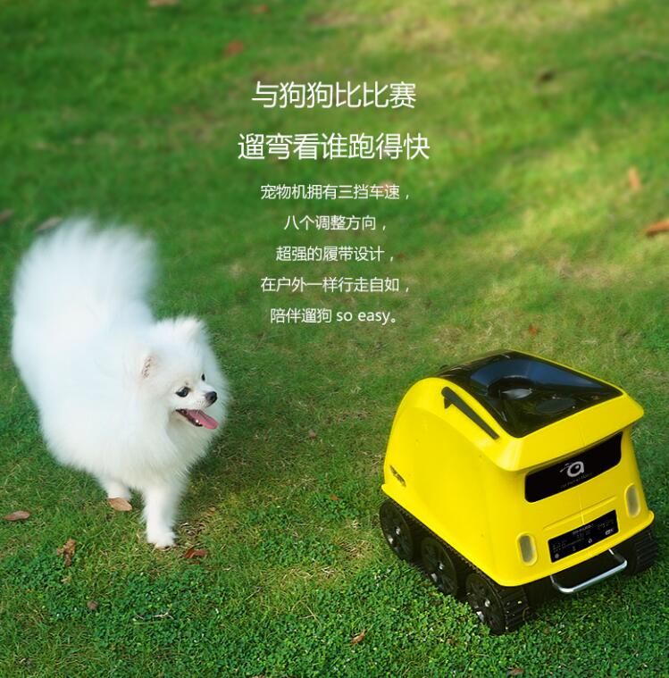 全球首款！鏟屎官必備的寵物陪伴機器人開啟淘寶眾籌