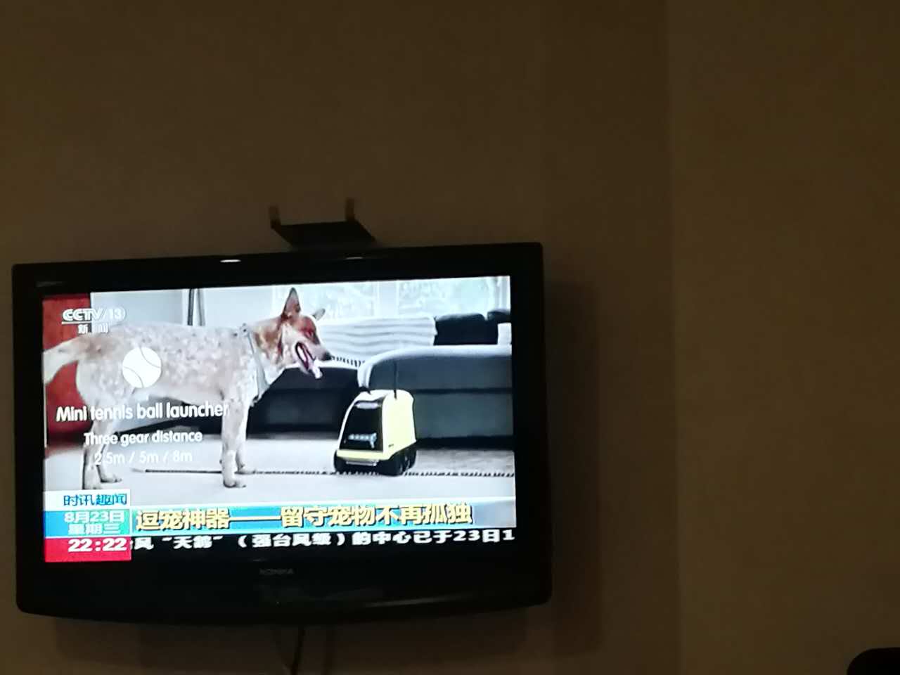 給力，小蟻智家寵物陪伴機器人意外上央視新聞走紅！